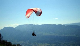  Hoch über den Bäumen fliegen